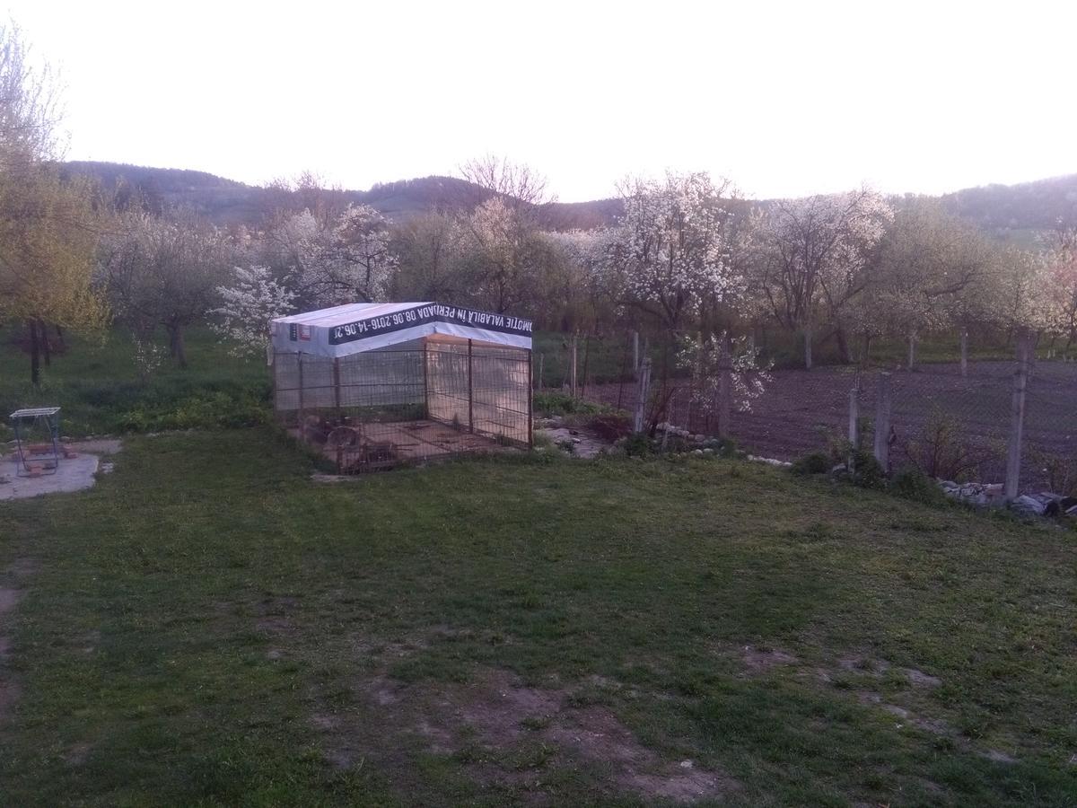 Vila la Izvorul Putinei Haţeg Exterior foto